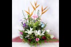 fleurs 