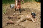 img2