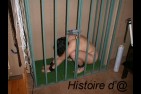 bloghida0445