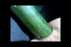Courgette 9