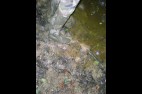 DSCN1198