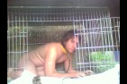 Pochi le chien 13