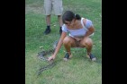 serpent3
