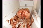petite femelle soumise au chocolat