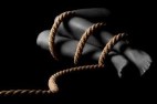 images (1)
