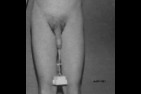 Cbt28-1981-001-2