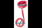 100352 Collier rouge et sa laisse à 25,00€