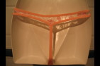 string 13097 saumon verso