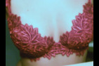2-Jolie soutif