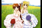 Flower of Lys (3)