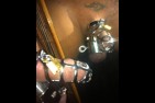 Cage double strech 2581