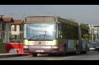 bus de nuit 4 croix rouge
