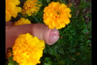 DSCF7884