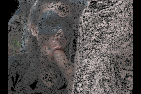 cq0e3v6x