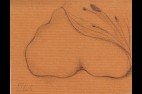 CROUPE