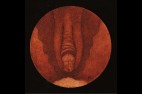 hermaphrodite