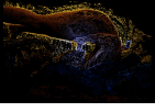 gif0014