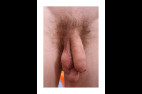 couilles pend0039
