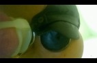 11 - Infectio - D - -