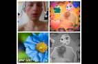 FB IMG 1457944072711-COLLAGE