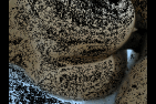 gifFK01