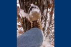 BOOTS-1