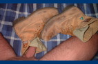 BOOTS-2