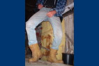 BOOTS-2