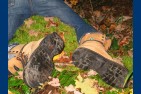 BOOTS-2