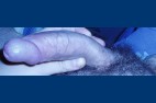 La-verge-bleue