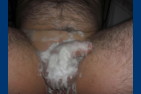 soumishl