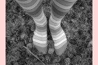 gros-plans-sur-les-chaussettes