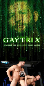 The Gaytrix Part 1 r