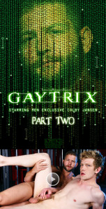 The Gaytrix Part 2 r