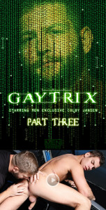 The Gaytrix Part 3 r