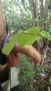 sorti nature (5)