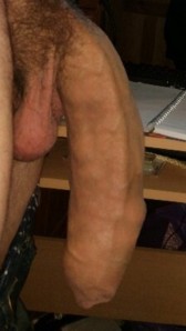 1--3--copie-11.jpg