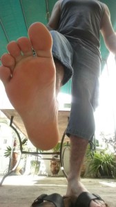 1--9--copie-1.jpg