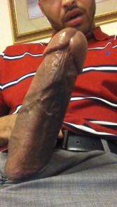 1--1--copie-8.jpg