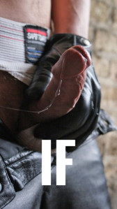 tumblr_o3azl7fMKy1urw48fo2_540.jpg