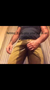 1--2--copie-1.png