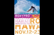 hawai-roxy-surf.jpg