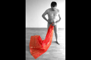 RedArabesque02.jpg