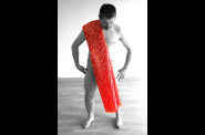 RedArabesque04-copie-1.jpg
