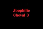 (BIZ013) Zoophilie Cheval 3