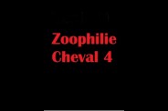 (BIZ014) Zoophilie Cheval 4