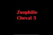 (BIZ015) Zoophilie Cheval 5