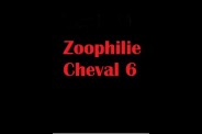 (BIZ016) Zoophilie Cheval 6