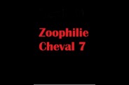 (BIZ017) Zoophilie Cheval 7