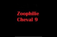 (BIZ019) Zoophilie Cheval 9